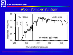 Noon Summer Sunlight