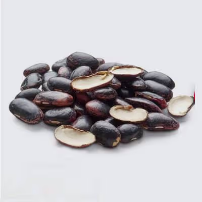 ตัวอย่าง Beans ก่อนบดด้วยเครื่องบดตัวอย่าง FRITSCH