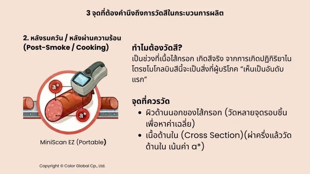 10 การวัดสีกับไส้กรอก Sausage