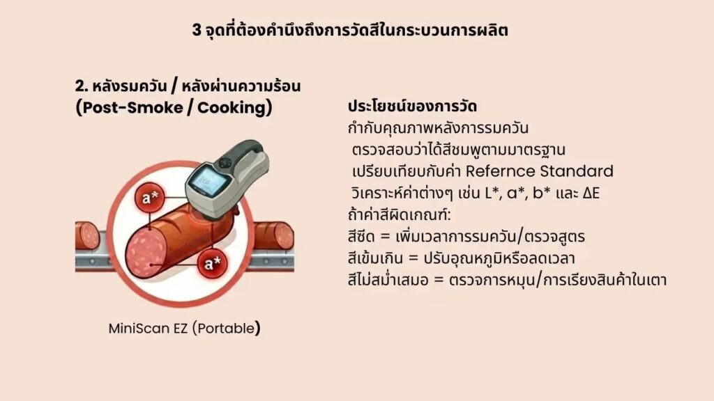 11 การวัดสีกับไส้กรอก Sausage