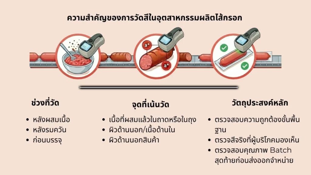 13 การวัดสีกับไส้กรอก Sausage