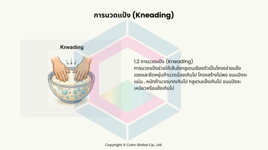 3 เครื่องวัดสีในงานขนมปัง