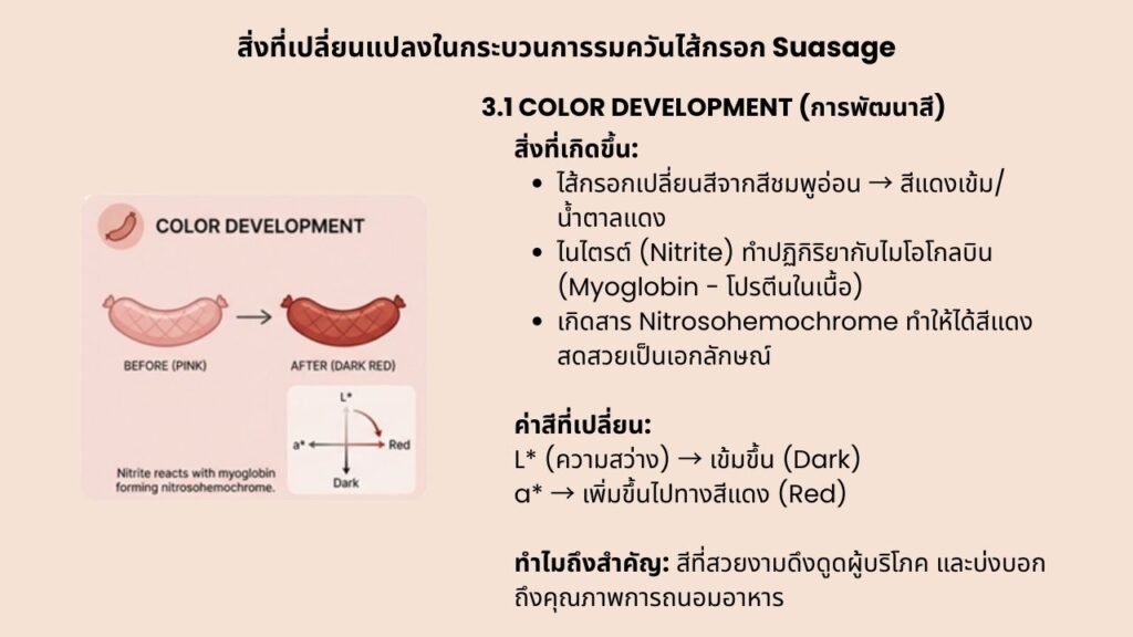 Suasage Smoking 3.1