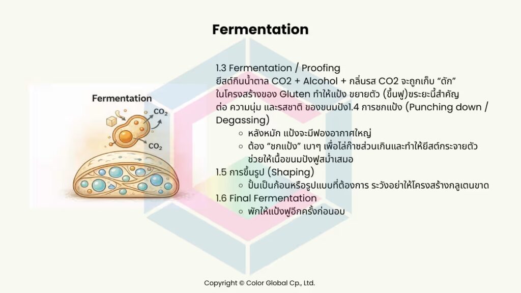 4 เครื่องวัดสีในงานขนมปัง