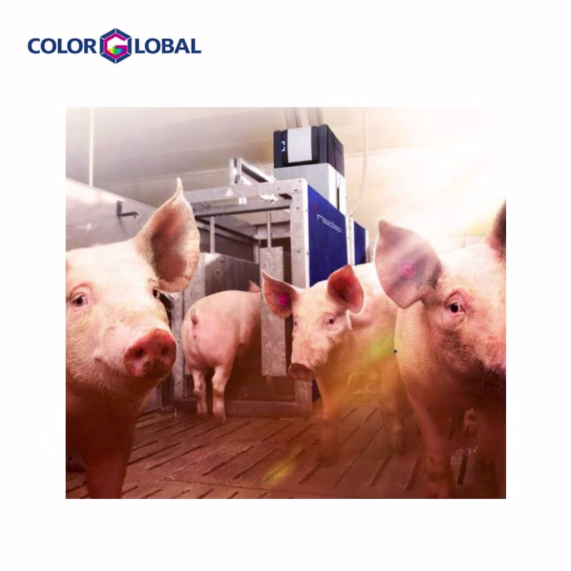 Smart Farm Pig ระบบจ่ายอาหารหมูในฟาร์ม